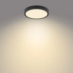 Philips Slim Surface 2 700 K Rond 28,6 cm Noir -Sélectionnez Les Magasins D'Éclairage 10013598 3