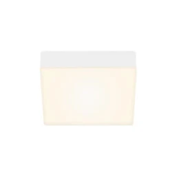 Plafonnier LED Flame, 15,7 X 15,7 Cm, Blanc -Sélectionnez Les Magasins D'Éclairage 1510636 4