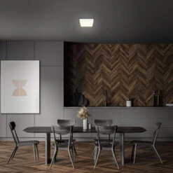 Plafonnier LED Flame, 15,7 X 15,7 Cm, Blanc -Sélectionnez Les Magasins D'Éclairage 1510636 5