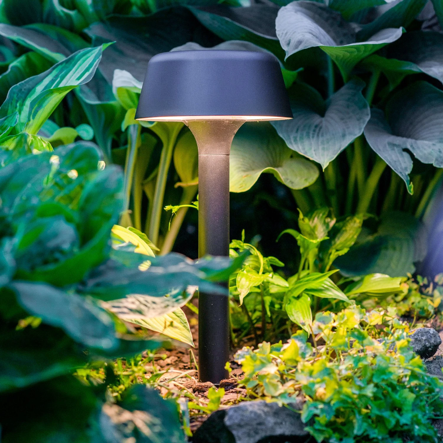 Dyberg Larsen Valencia Borne Solaire, Noire 4 Dyberg Larsen Valencia Borne Solaire, Noire – Image 2