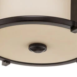 Plafonnier Polyvalent Merrill Pour L’extérieur -Sélectionnez Les Magasins D'Éclairage 3048369 5