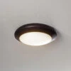 Plafonnier D'extérieur LED Berta, Noir, CCT