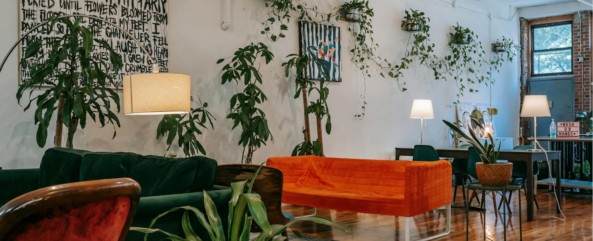 Sélectionnez Les Magasins D'Éclairage -Sélectionnez Les Magasins D'Éclairage pexels charlotte may 5825371